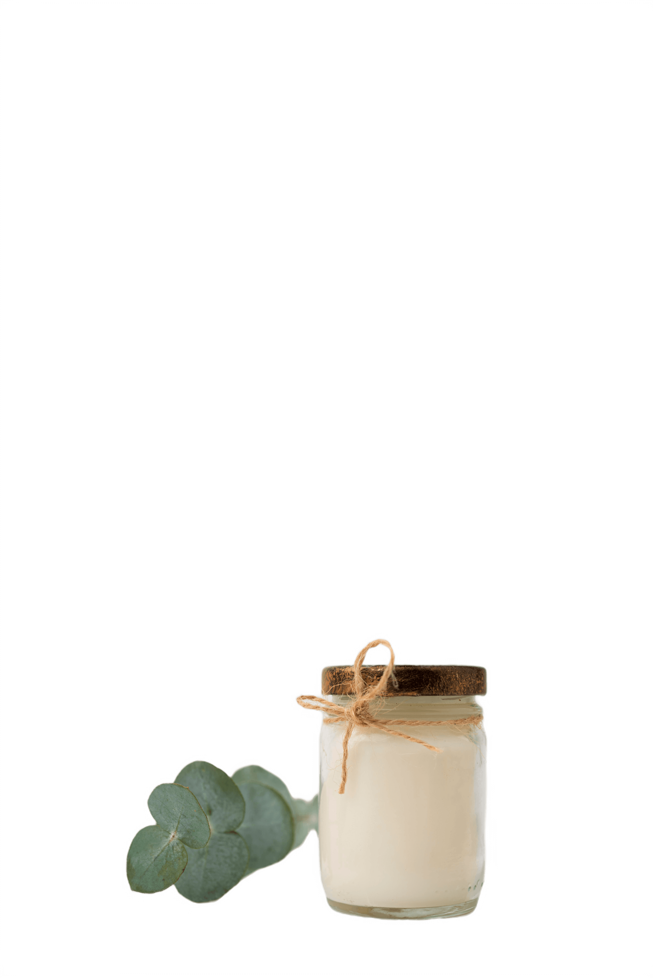 Candle with Eucalyptus